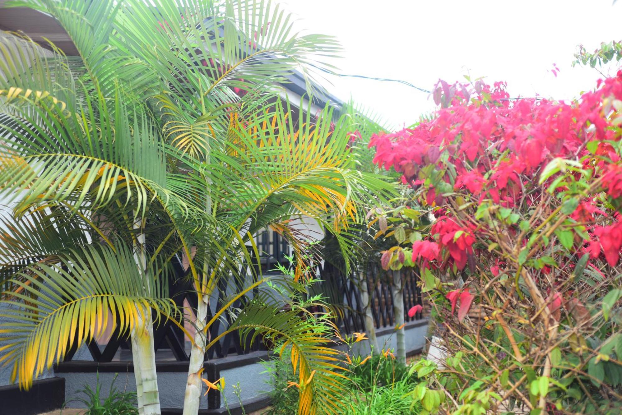 Akagera Neighbors Bed & Breakfast Kabarondo Exterior photo
